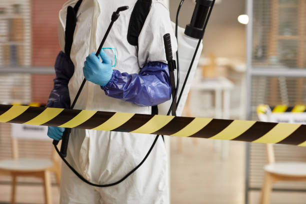Professional Sewage Cleanup technician working in Talmo, GA